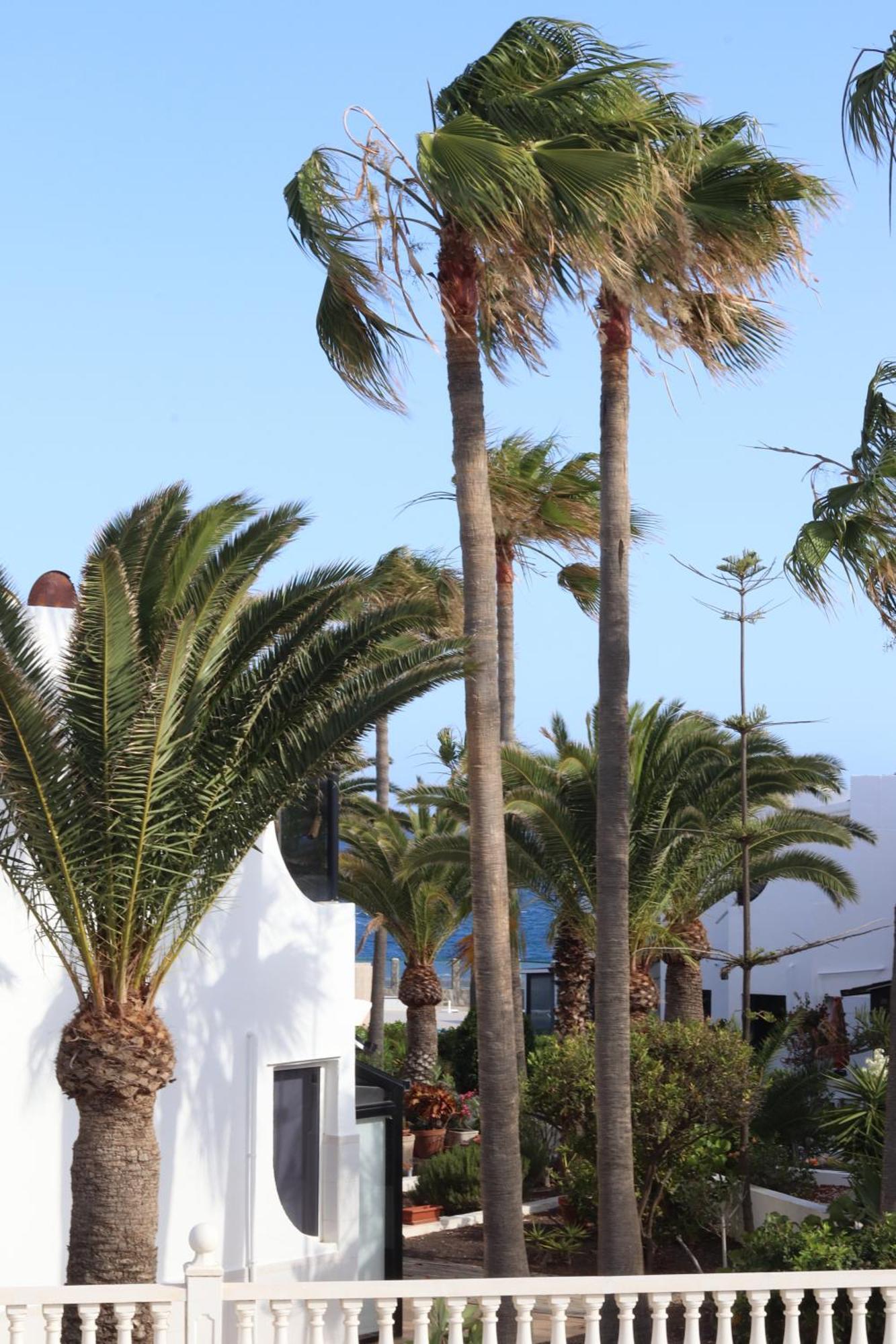 Vista Parcial Mar En Tenerife Sur *